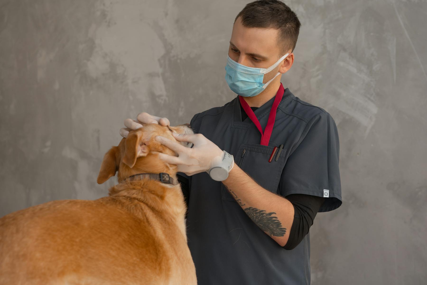 Dierenkliniek Pootje